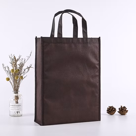 10% Discount Non Woven Non-Woven Colorful PP Ultrasonic Laminated Bag